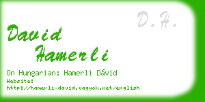 david hamerli business card